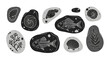 © Yuni - Collection of ancient fossils embedded in stone.