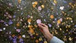 © JPminimal - Hand reaching for wildflower nature field overhead shot colorful bloom tranquil environment serenity concept