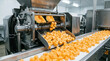 © Creativeraf - Industrial food processing machine cutting cantaloupe melon into cubes