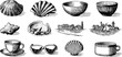© Artem - Coastal shells and seaside objects grouped on white background