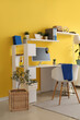 © Pixel-Shot - Interior of teenager's room with workplace, plants and shelves