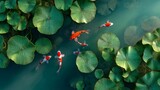 Vibrant koi fish swimming among lush lily pads in a tranquil pond.