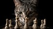 © Eithy - Chess cat a feline strategist in a dark game