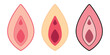 © SHAHIDA KHATUN - Vagina icon set, isolated on transparent background.
