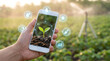 © Md Arif Babu - Smart farming technology with a smartphone displaying a growing plant, agricultural innovation for sustainable crop management, digital agriculture solutions for modern farms