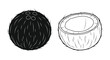 © IMkM00i76 - Coconut illustration with whole and halved fruit black and white