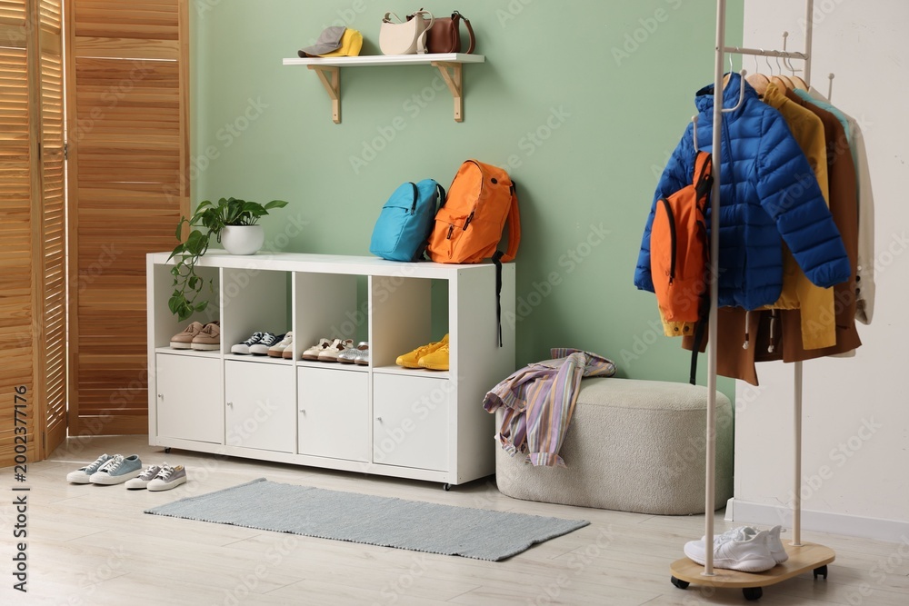 Shoe storage with different footwear, coats on rack and houseplant in ...