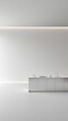 © Alexander Chaykin - A modern kitchen with stainless steel appliances and surfaces, featuring clean lines and a monochrome color scheme. The minimalist design creates an elegant and luxurious atmosphere.