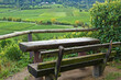 © Fleuronica - Viewpoint with a wooden bench overlooking green vineyards and hills during daytime near a small village