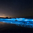 © Omar Sami - Experience the magic of a bioluminescent beach at night. Glowing neon blue waves hit the dark shore under a starry sky. This ethereal nature landscape captures the wonder of sea sparkle and starlight.
