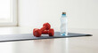 © Guillotine - Red dumbbells and water bottle on exercise mat in bright room