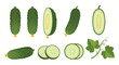 © Farelious - Fresh cucumber assortment isolated on white