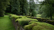 © Kateryna Arkhypova - Ruined abbey walls covered in moss in a peaceful Irish countryside setting, medieval heritage concept, travel photography, with copy space