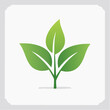 © Nura - Green sprout with three leaves