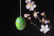 © Westend61 - Hanging painted green Easter egg with pink tree blossoms on black