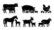 © Fernando - Farm Animals Silhouettes with Babies, Cow Pig Chicken Horse Goat Sheep Collection, Vector Icons Set for Agriculture and Livestock Icons, Isolated Black Shapes on White Background for Branding Designs