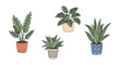 © Lucy - Set of four potted plants for home decor, indoor gardening, and botanical design inspiration
