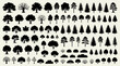 © Roni - Diverse collection of tree silhouettes set