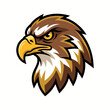 © abdulhamid - Angry Eagle Hawk Head Vector Mascot Badge