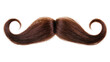 © Daniel - Curled brown hair mustache with curled ends, isolated on transparent background