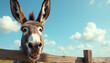 © Viktor - Funny donkey face closeup over wooden fence. Long ears up, mouth open slightly. Bright sunny day with blue sky and fluffy clouds. Farm animal portrait with copy space for text.