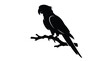 © Hikari Vector Studio - Silhouette of a parrot perched on a branch, vector illustration of a tropical bird