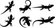 © Amowara - Set of lizard silhouettes in different poses isolated on white background reptile gecko animal vector illustration collection