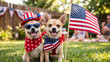 © Koko Art Studio - Chihuahua dogs celebrating 4th of July Independence Day with American flag, patriotic outfit and sunglasses, outdoor summer party USA holiday concept copy space