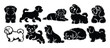 © Toufik - Maltese Dog Silhouette Set Vector Collection | Elegant Small White Toy Breed Outline Bundle for Adobe Stock