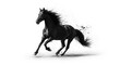 © Rocky - Magnificent black horse running with dynamic motion and abstract splash effect on white background movement strength