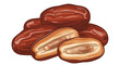 © Rana - Detailed illustration of a group of whole and halved dried date fruits showing the inner seeds on a plain white background.