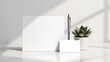 © picbox - empty white room with green window and white wall