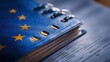 © Iryna - European Union binder with documents and forms on a surface