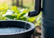 © Iyan - Collecting rainwater from a downspout into a storage barrel signifies responsible water management and provides a sustainable source for garden irrigation and outdoor tasks, promoting