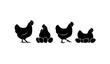 © Hosneara - Hen and Chicken Silhouette Icon Set featuring Poultry Birds sitting on Eggs and Standing for Farm, Agriculture, Organic Food, and Livestock Branding Designs