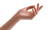© Freya - Delicate female hand with manicured nails, isolated on transparent background
