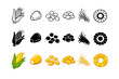 © muhammad - Comprehensive set of corn vegetable icons in outline, glyph, and color styles, beautifully illustrating the cob, individual kernels, and husk for agricultural and culinary design uses.