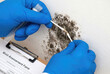 © Yuliia - Mold remediation specialist taking sample with swab, protective gloves, testing for mold type, inspection concept