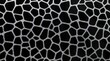 © ProdipKumar - Abstract black and white organic cell pattern with uneven geometric shapes and connected lines