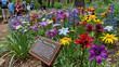 © Maksym - Native plant meadow restoration site three years after planting, informational sign in foreground explaining species present, school group in background exploring paths, vibrant spring bloom, ideal