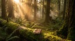 © Alauddin - An old leather journal rests on a moss-covered fallen log in a sun-dappled forest, inviting moments of reflection.