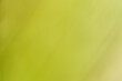 © Henryk Niestrój - Abstrakcyjne, nieostre tło w odcieniach limonki i żółci. Miękka tekstura typu bokeh, idealna jako minimalistyczne tło do projektów graficznych, napisów lub prezentacji. Świeży, letni klimat.