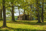Reconstructed Revolutionary War soldiers’ hut in a wooded area at Valley Forge National Historical Park in Pennsylvania, representing military encampment life during the American Revolution.