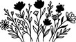 © NovaBella - Hand-drawn black silhouette of various wildflowers and leaves, isolated on white.