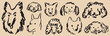 © KPstudio - Scribble chalk or charcoal style dogs drawing. Hand drawn puppy sketch art. Wax crayon grunge funny whimsical cute charcoal illustrations for tshirt print, placard, poster or isolated doodle stickers.