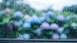 © nico - Raindrops on window glass with hydrangea bokeh background, cinematic rainy day banner with copy space