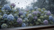 © nico - Raindrops on window glass with hydrangea bokeh background, cinematic rainy day banner with copy space