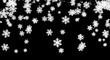 © Nuri - White snowflakes falling against a solid black background, creating a winter weather effect with various sizes of crystal patterns