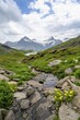 © Mara Brandl/imageBROKER - Mountain stream with flowers, mountain landscape with Bachalpsee mountain lake, Mittelhorn and Schreckhorn peaks with upper Grindelwald glacier, Bernese Alps, Bernese Oberland, Switzerland
