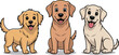 © Mdjillur - Cute cartoon golden retriever puppy set showing different poses including sitting, standing, and smiling, friendly yellow labrador dog mascot vector illustrations isolated on a white background.